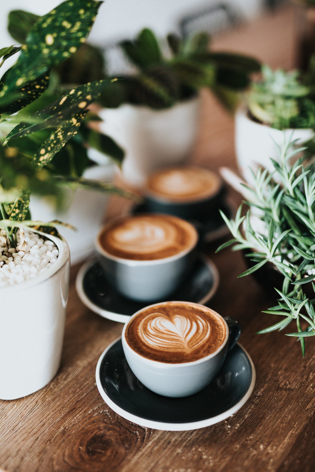 Abnehmen mit Kaffee: 10 gesunde Eigenschaften des Wachmachers
